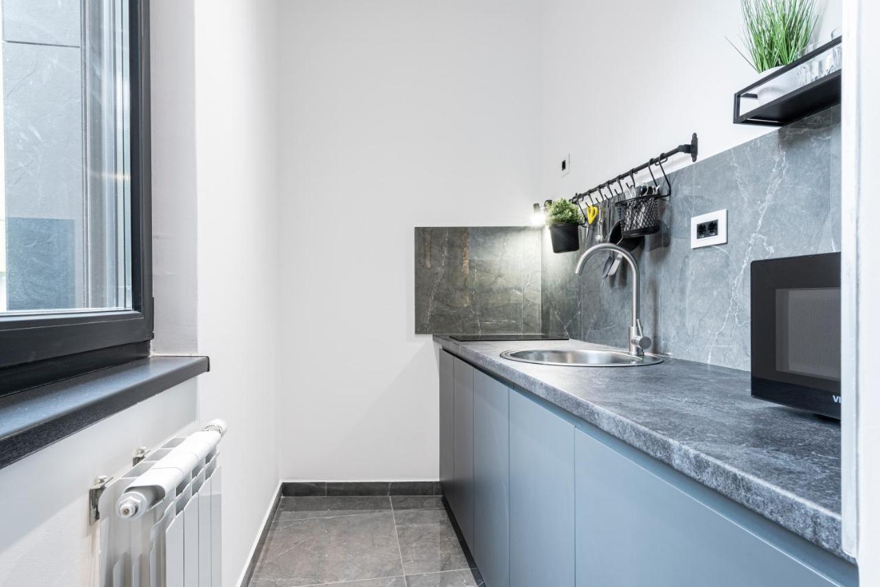 Vertigo Modern Studio-Free Private Parking-Fast Wi-Fi ノヴィ・サド エクステリア 写真